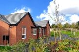 A redbrick semi-detached bungalow, surrounded by plants and greenery