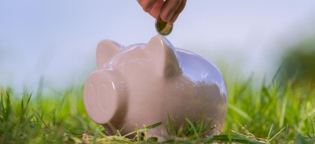 A piggy bank placed amongst the grass
