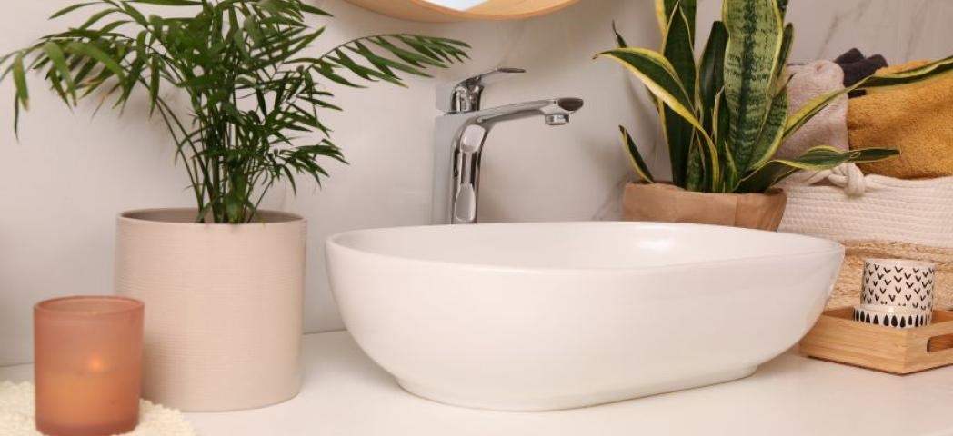 A white oval sink surrounded by potted plants in a bathroom