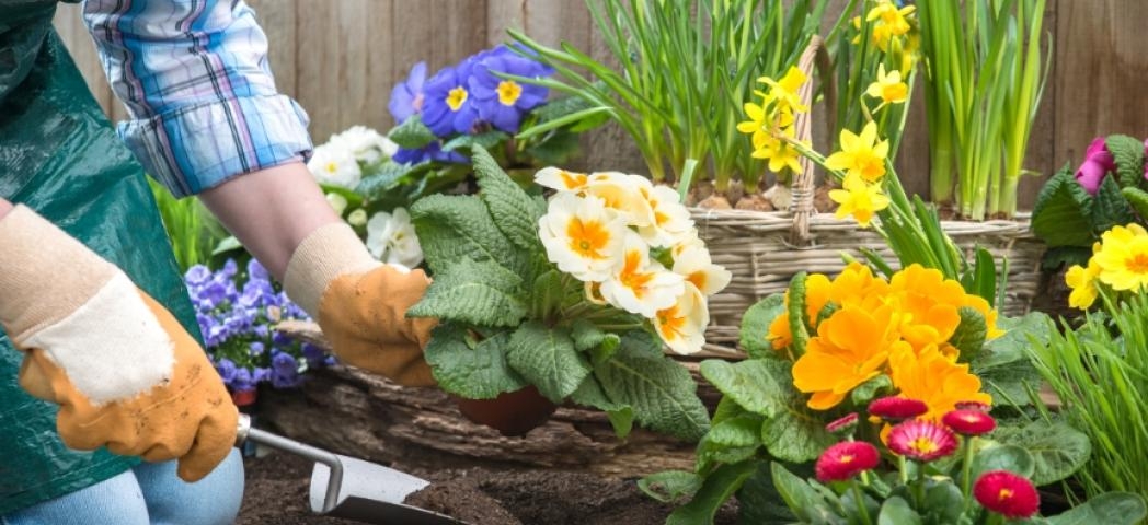 A person kneeling next to a flower bed wearing gardening gloves and planting an array of colourful flowers