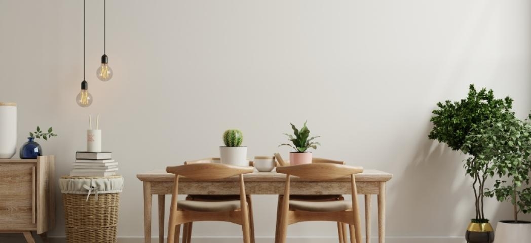 A minimal room with a dining table and green indoor plants
