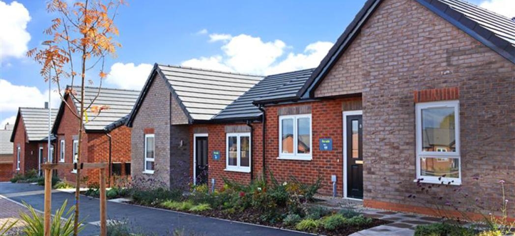 Row of modern single-story brick houses with pitched roofs, featuring a mix of red and brown brickwork. Each home has white-framed windows and a black front door. A landscaped front garden with shrubs and a young tree lines the paved pathway, under a bright blue sky with scattered clouds.