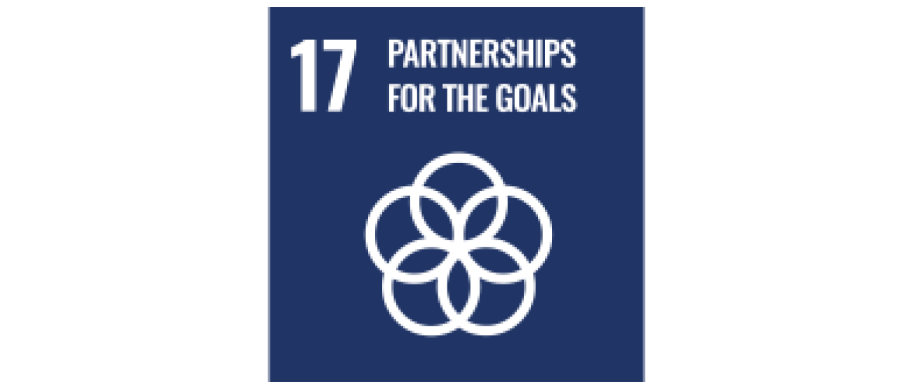 United Nations Sustainable Development partnerships icon