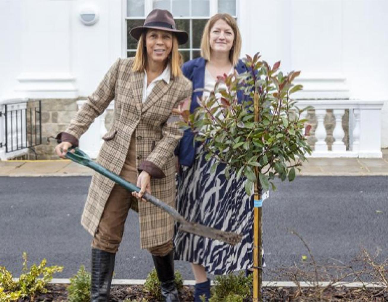Planting a tree Planting a tree