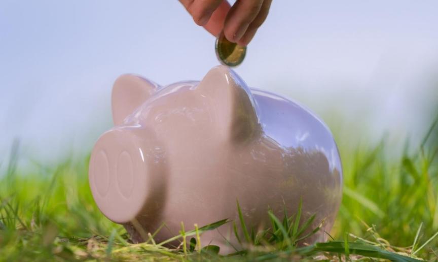 A piggy bank placed amongst the grass