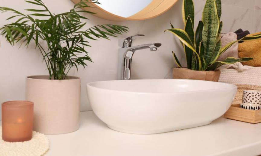 A white oval sink surrounded by potted plants in a bathroom
