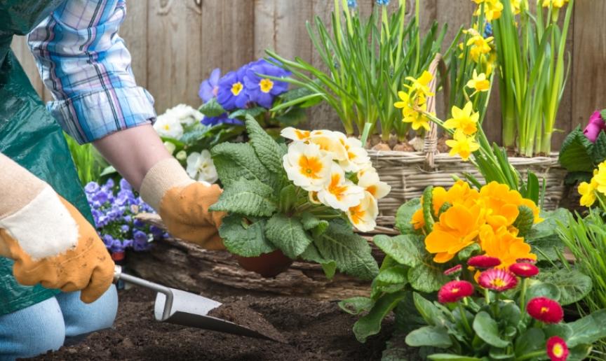 A person kneeling next to a flower bed wearing gardening gloves and planting an array of colourful flowers