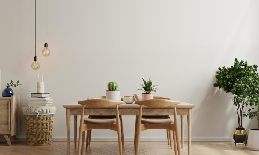 A minimal room with a dining table and green indoor plants
