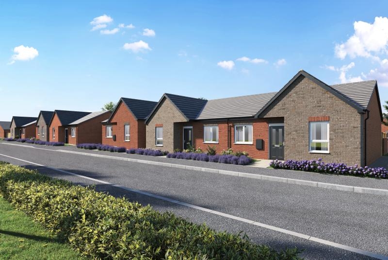 Street view of a row of new build bungalows