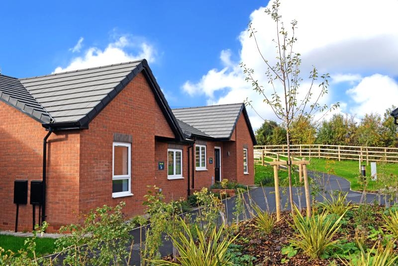 A redbrick semi-detached bungalow, surrounded by plants and greenery
